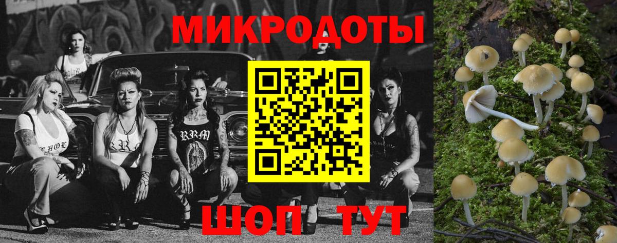 Нижневартовск  Псилоцибиновые грибы Cubensis  Вход с VPN  наркотики  Псилоцибиновые грибы Cubensis 